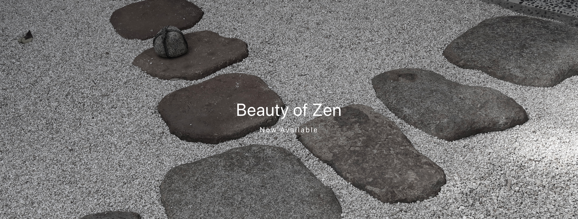 Beauty of Zen_L